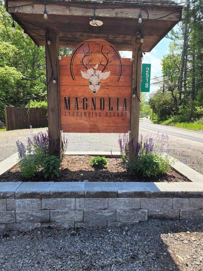 Magnolia Streamside Resort 카나덴시스 외부 사진