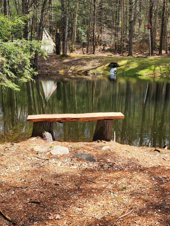 Magnolia Streamside Resort 카나덴시스 외부 사진