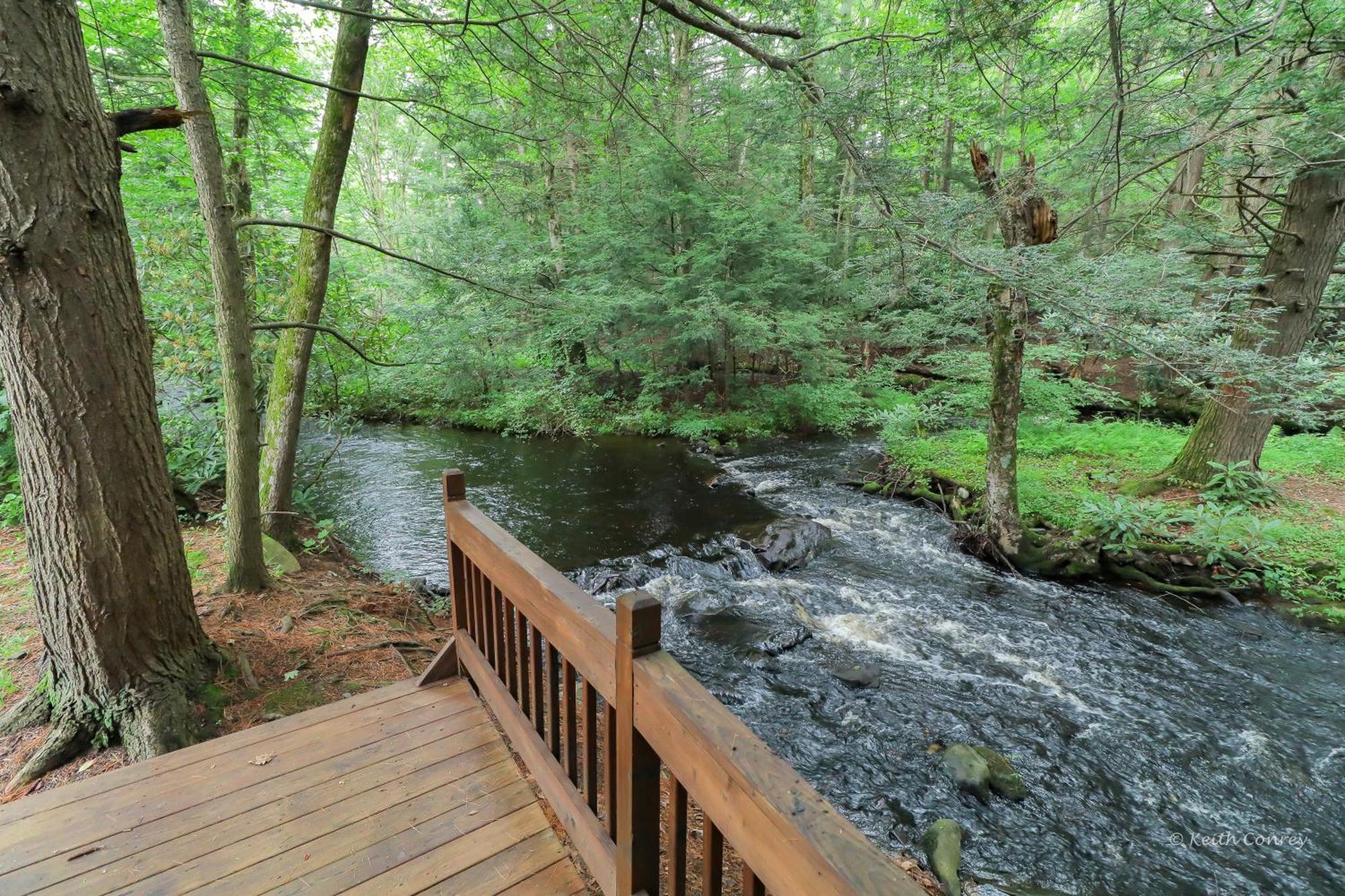Magnolia Streamside Resort 카나덴시스 객실 사진