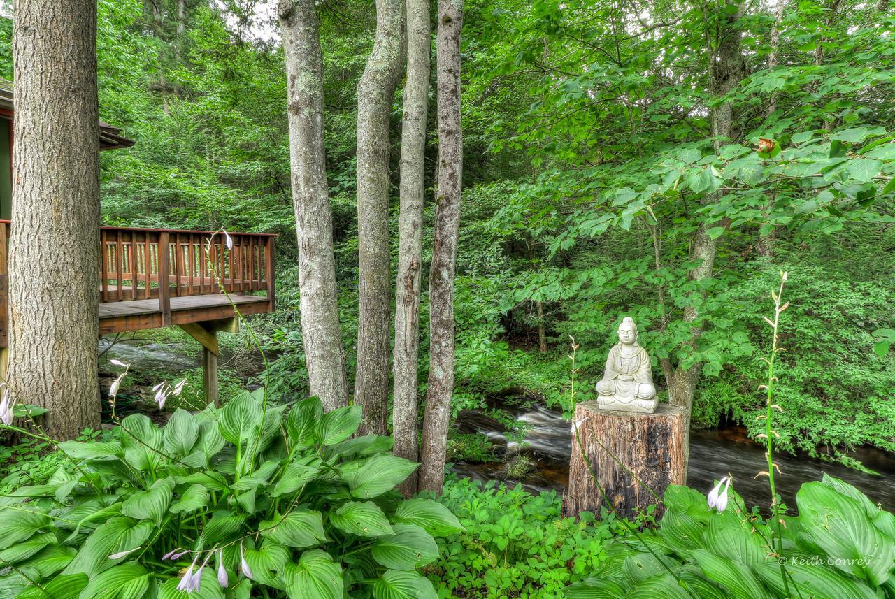 Magnolia Streamside Resort 카나덴시스 외부 사진